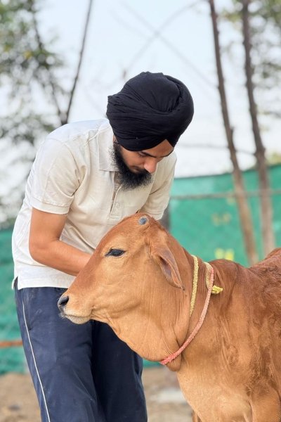 Farmer